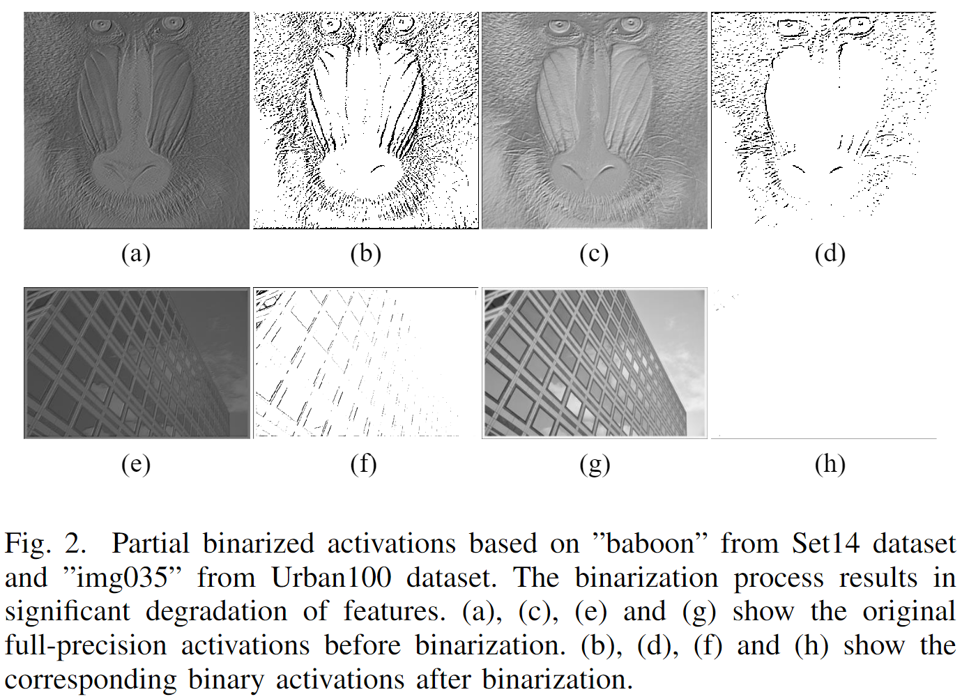 image-20231117105450812