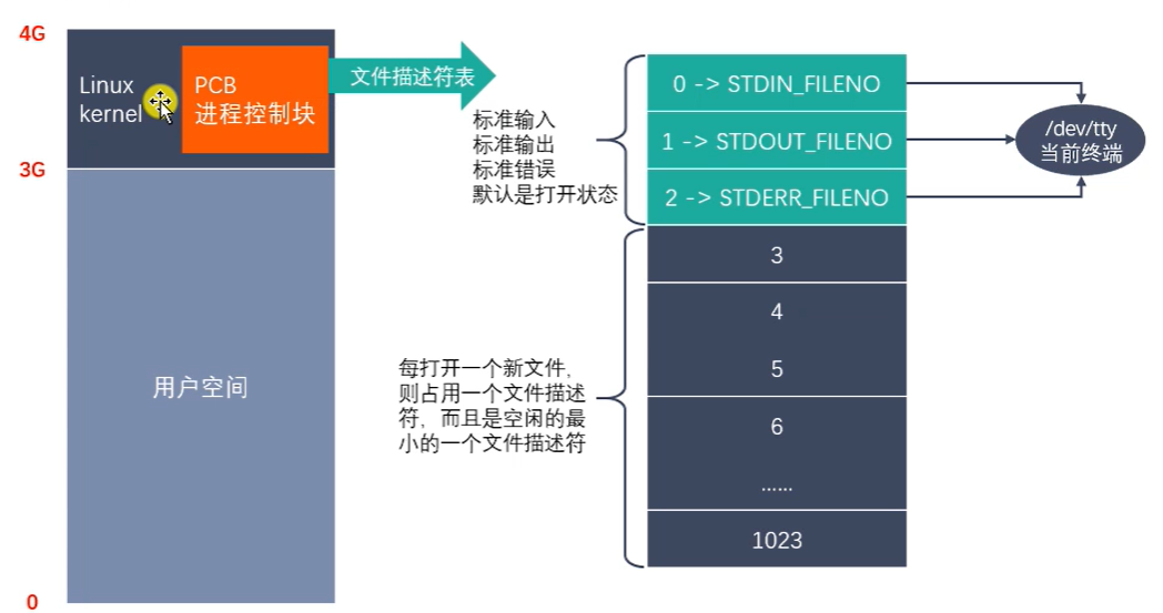 image-20230421092554014